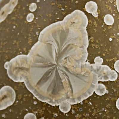 Gold crystalline vase closeup by Salman ikram