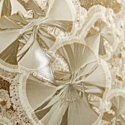  Leaf series by Salman ikram